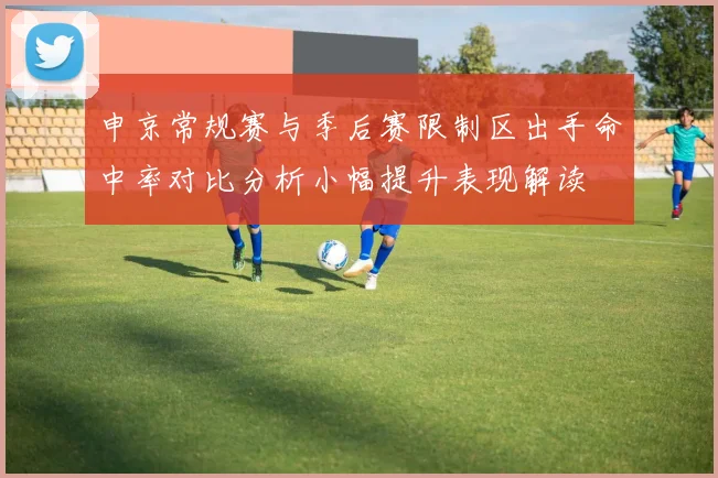 申京常规赛与季后赛限制区出手命中率对比分析小幅提升表现解读